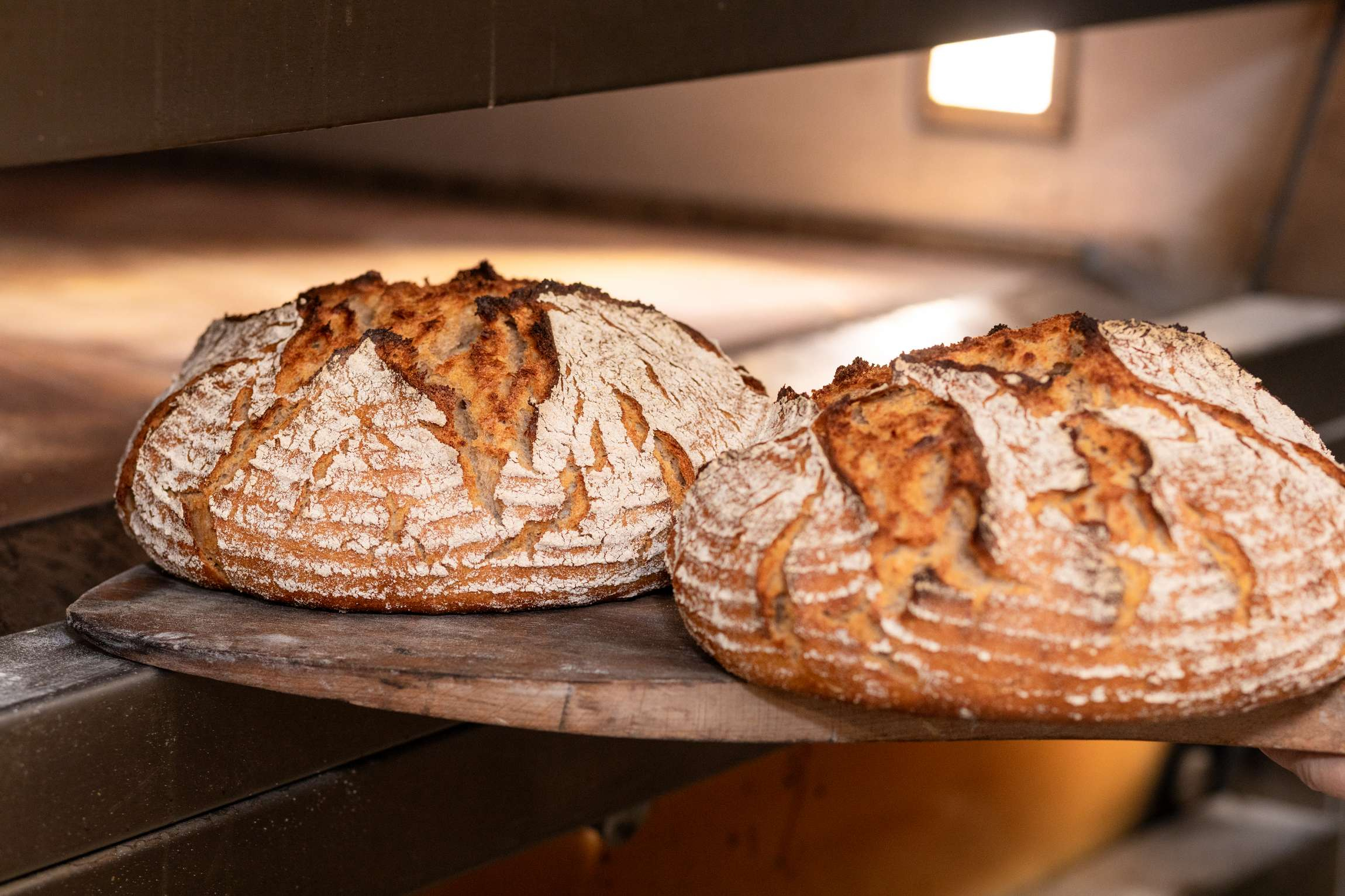 Brötchen in den Backofen schieben